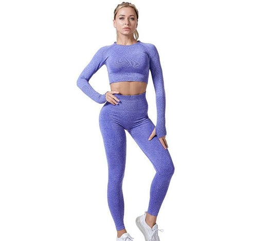 Seamless Yoga/Workout Set